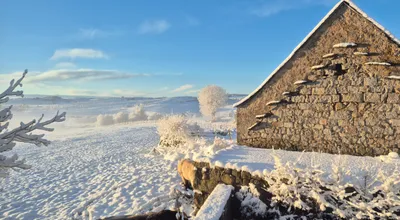 Snowy landscape