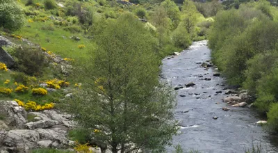 The Bès glacial torrent