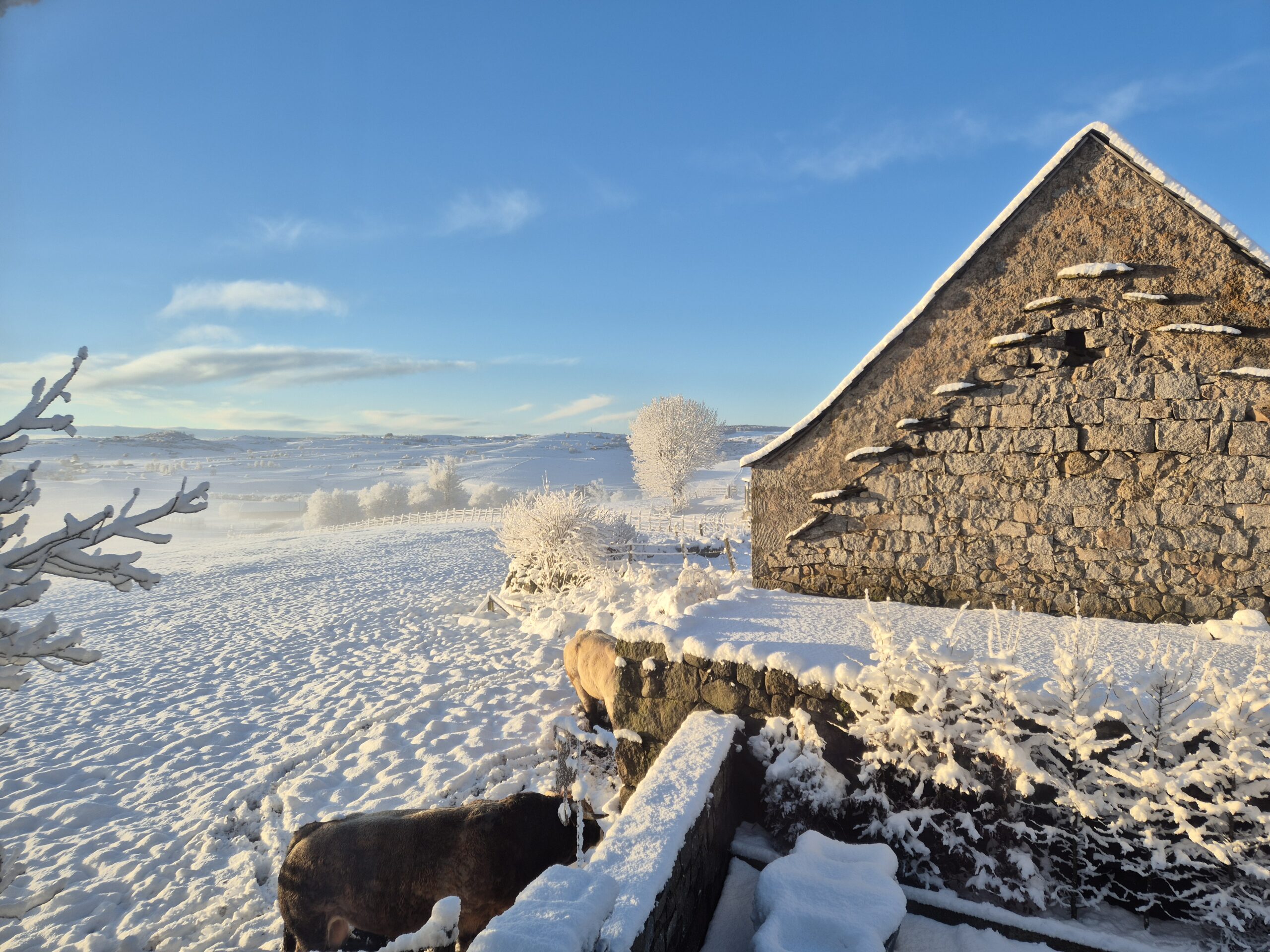 Paysage de neige